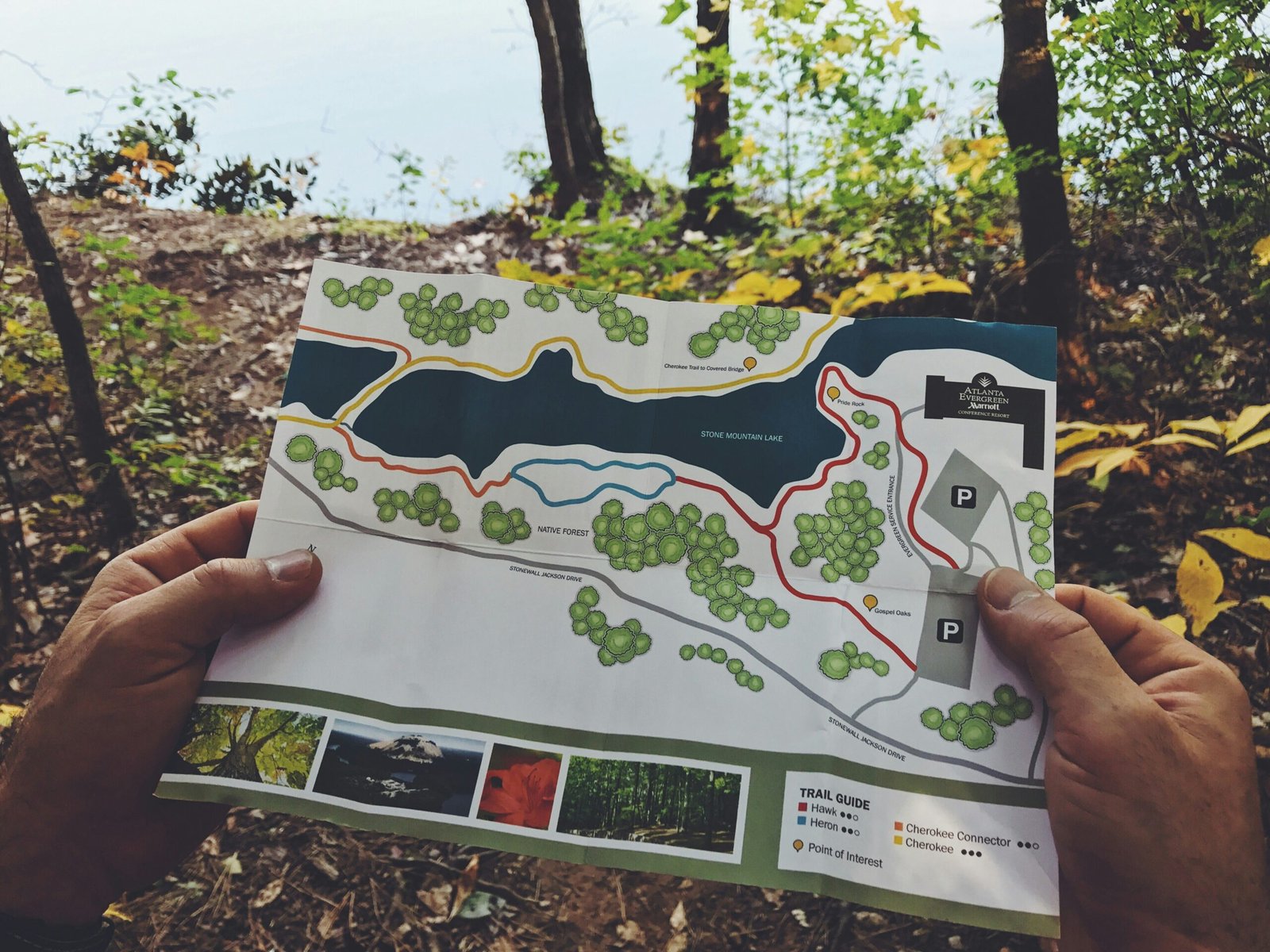 Essential Knowledge for Map Collection Assessment Methods Essential Knowledge for Map Collection Assessment Methods