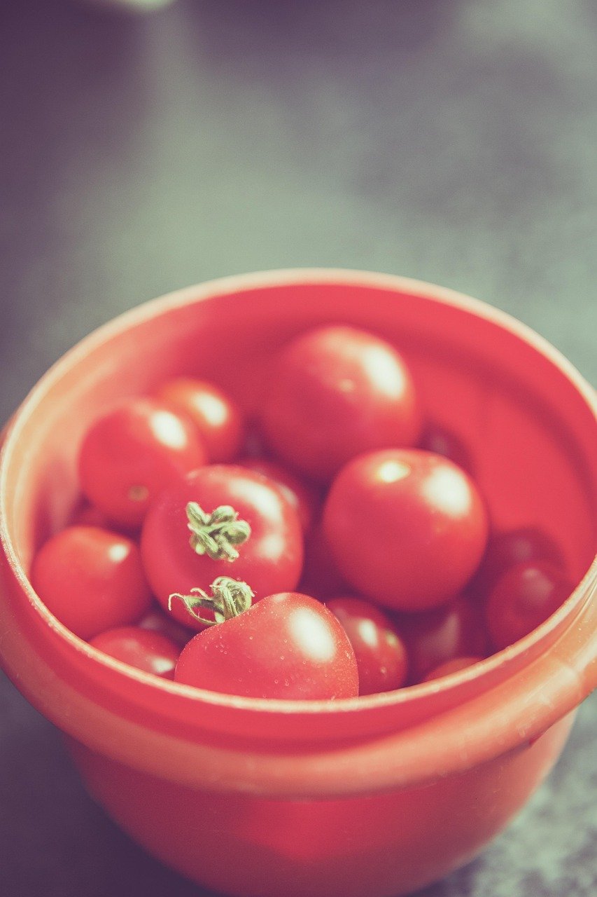 The Perfect Care Guide for Plant Collectors: Tips From an Urban Guru