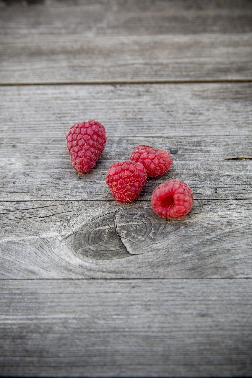 The Perfect Care Guide for Plant Collectors: Tips From an Urban Guru