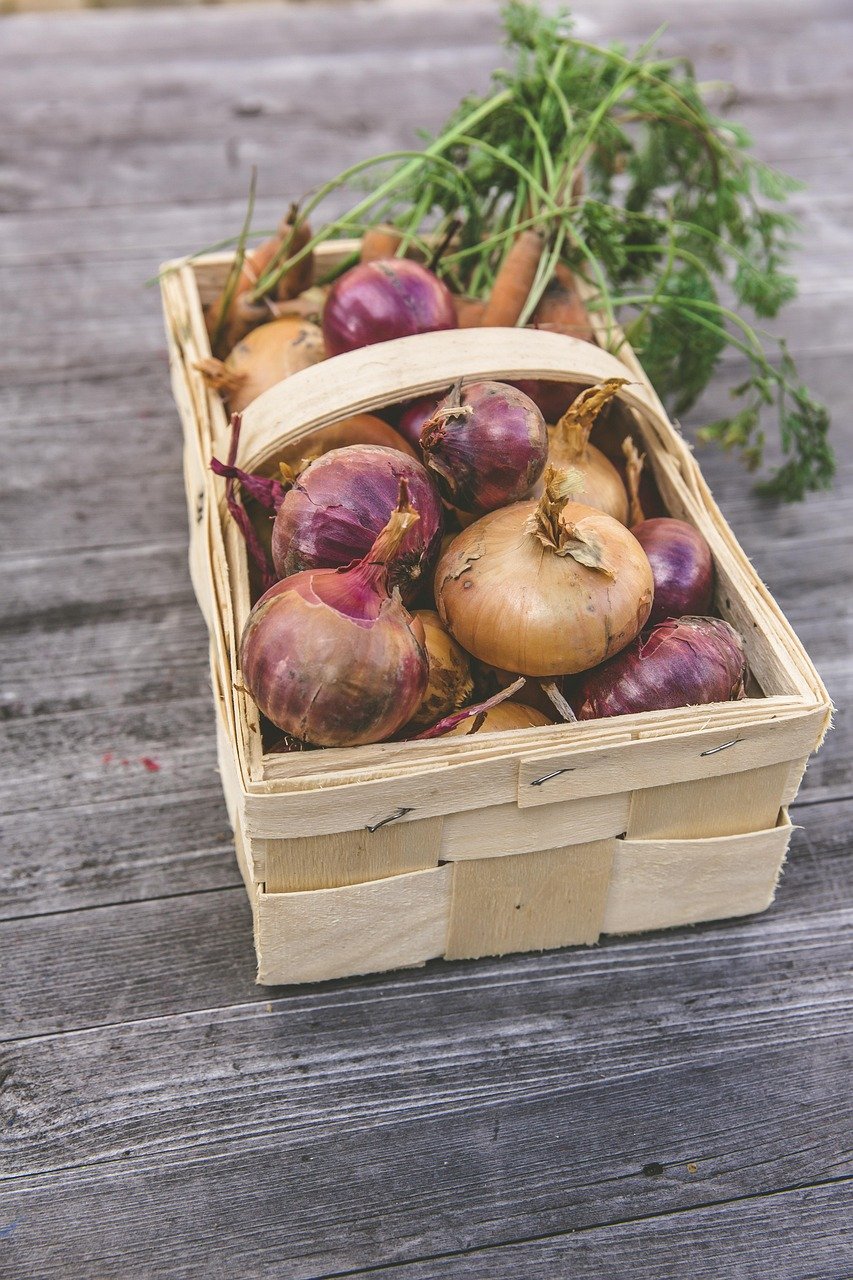 The Perfect Care Guide for Plant Collectors: Tips From an Urban Guru