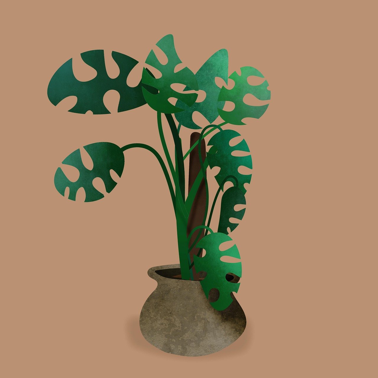 Top Rare Plants Gaining Popularity on Social Media