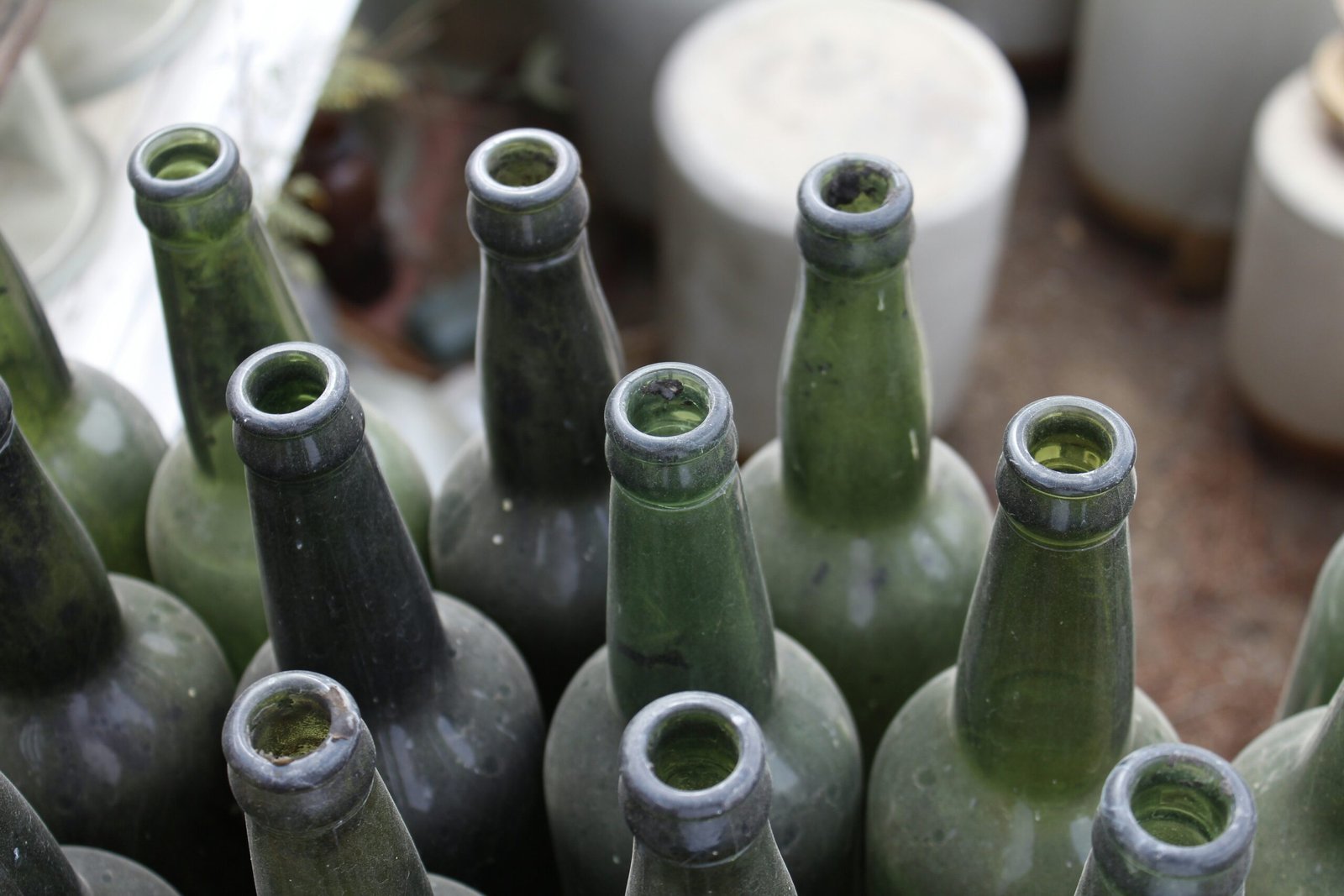 Complete Guide to Wine Vintages and Regional Characteristics